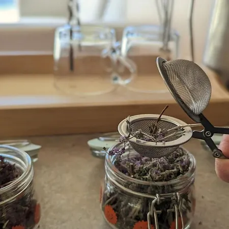 شقة Woodsy Views 1 Bedroom