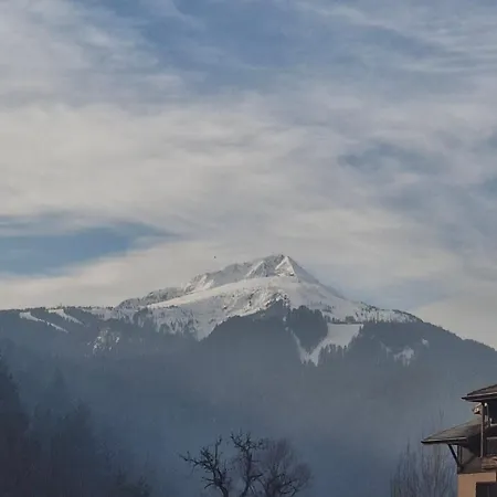 Woodsy Views 1 Bedroom Apartman *