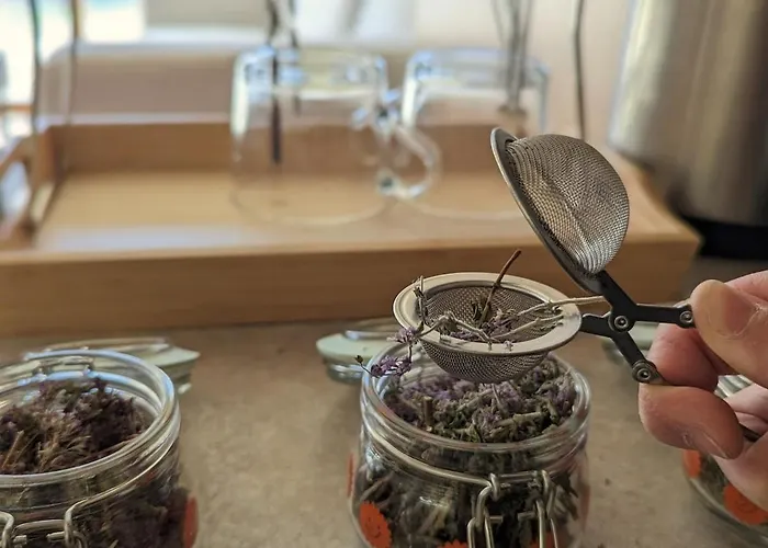 Apartment Woodsy Views 1 Bedroom